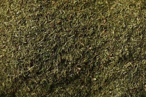 تصویر 3 از فروش شوید خشک در قم + خرید ارزان